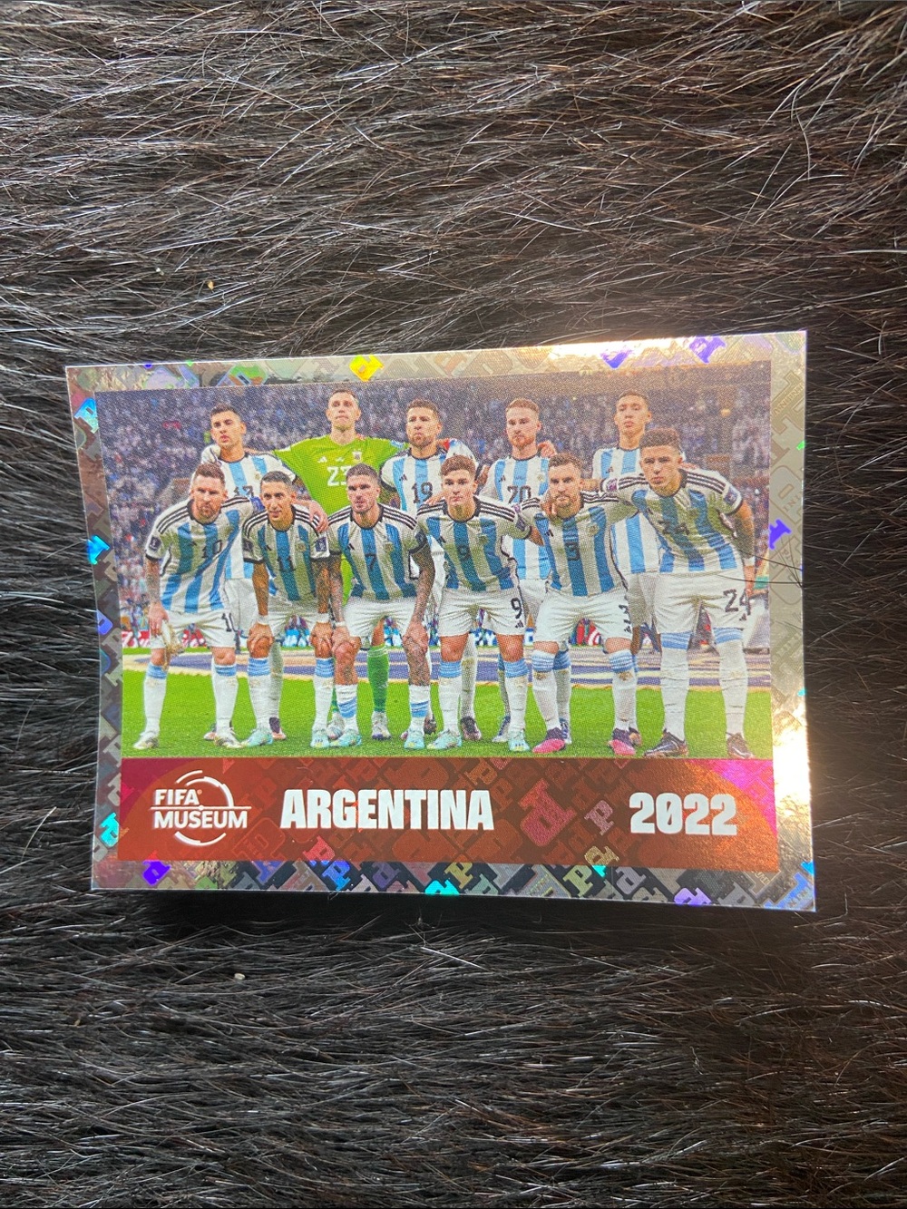 Panini FIFA World Cup 2026 Soccer Sports Argentina